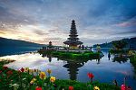 Bali Dolphin Lovina Beach 5D4N