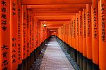 Favorite Triangle Route Japan 4D3N