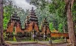 Banyuwangi Baluran & Alas Purwo 2D1N